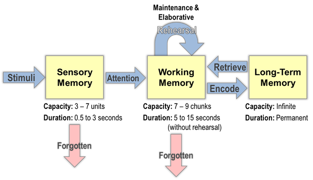 three stage model of memory