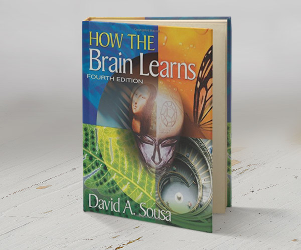 how-the-brain-learns