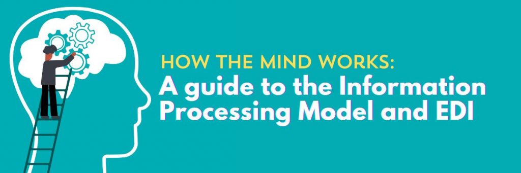 information process model