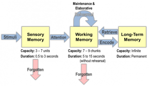 Information processing model 